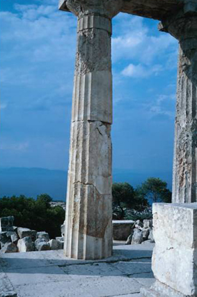 contact sparta foods